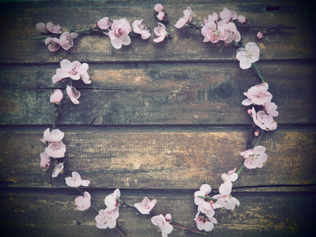 Pink flowers of apple tree or peach tree on wooden boards. Delicate inflorescences arranged in circle. Soft focus. Spring theme, holidays, spa, beauty, home interior. Copy space flat lay. Still lifeの写真素材