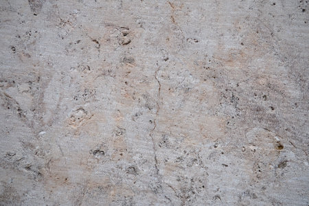 Shell rock is a sedimentary rock. One of the varieties of limestone. Consists of whole and crushed shells of marine animals. Monomineral porous rock. Composed of calcite and natural impuritiesの写真素材