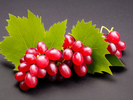 Large red grapes. Delicious ripe fruits. Beautiful large grapes. Advertising for a food catalogue. Black backgroundの素材