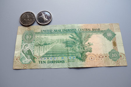 The Arab Emirates Dirham Arabic. ISO code AED is the official currency of the United Arab Emirates....