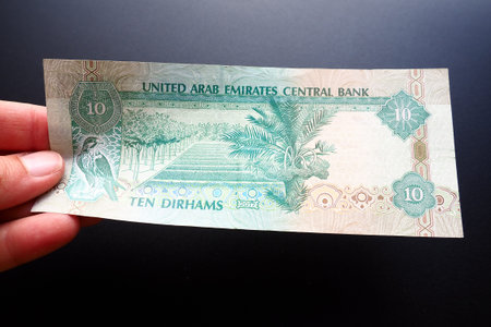 The Arab Emirates Dirham Arabic. ISO code AED is the official currency of the United Arab Emirates....