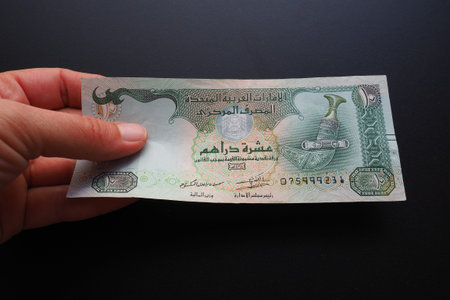 The Arab Emirates Dirham Arabic. ISO code AED is the official currency of the United Arab Emirates....