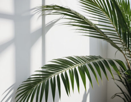 Blurred defocused shadow from palm leaves on white wall. Minimalistic beautiful summer or spring background for product presentation. Theme of travel and beach holidays. Long narrow leaves. AI.の素材
