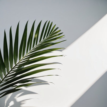 Blurred defocused shadow from palm leaves on white wall. Minimalistic beautiful summer or spring background for product presentation. Theme of travel and beach holidays. Long narrow leaves. AI.の素材