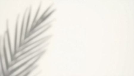 Palm leaves cast delicate shadows on a pristine white background, evoking tranquility and a sense of calmness. Nature's artistry unfolds in soft silhouettes.の素材