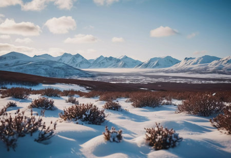 Snow blankets the rugged tundra, accented by sparse shrubs peeking through the frost.の素材