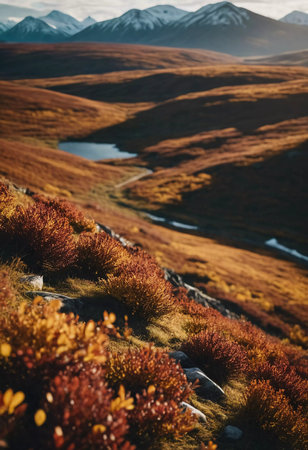 Autumn foliage carpets the tundra in red and gold, merging with serene waters that reflect distant mountains, captivating all who explore this tranquil paradise.の素材