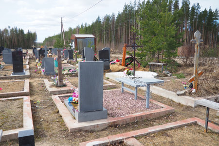 Cemetery with stone monuments. Old abandoned cemetery in the afternoon in summer. Grass thickets....