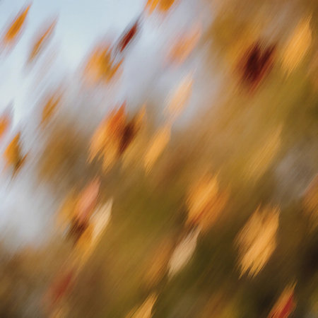 Vibrant maple leaves swirl in hues of orange and yellow, creating a beautiful blur that captures the essence of autumn in a serene outdoor environment.の素材