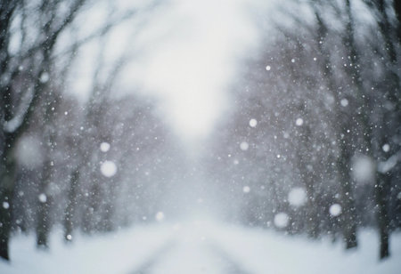 Snow falls gently on a wide path surrounded by trees. The ground and branches are covered in white. The scene feels cold and still during winter.の素材