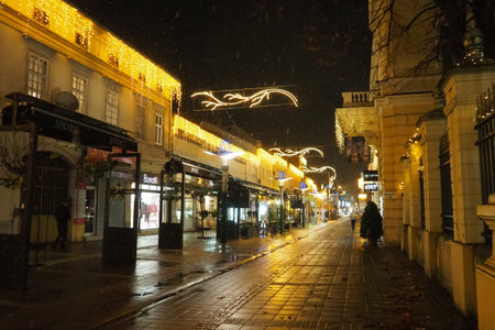 Sremska Mitrovica, Serbia, December 26 2025: snowflakes drifting against backdrop of nighttime street lined with shops, cafes, garlands, decorations. Christmas and New Year spirit. Bright storefrontsのeditorial素材