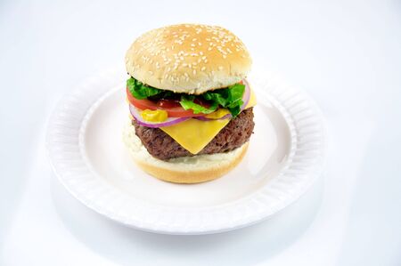 Cheeseburger on a Plateの写真素材