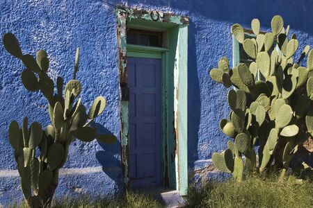 A bright blue, worn adobe house in the historic barrio district of Tucson, Arizona is fronted by a pair of large prickly pear cacti.の写真素材