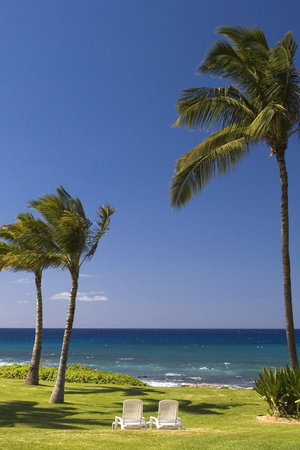 An inviting pair of white lawn chairs on a green lawn look out past swaying palm trees to the...