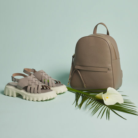 Beige leather sandals and palm leaf on pastel blue backgroundの写真素材