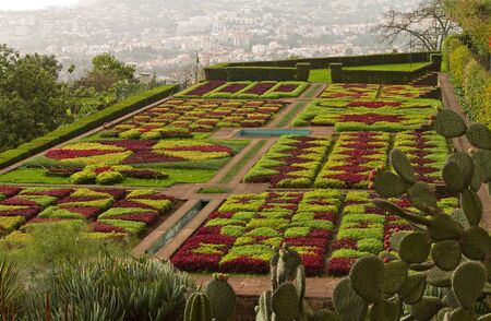Beautiful garden in Funchal, Madeira.の写真素材