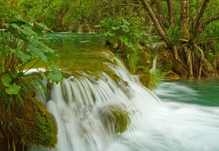 Waterfall in the forest.の写真素材