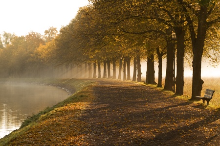 Walkway at the canal in morning mist. Walkway at the canal in morning mist.
