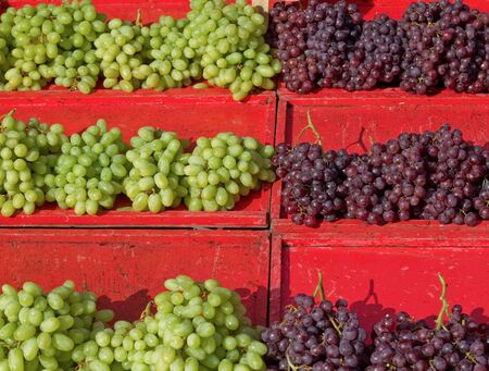 Sunlit grapes on red shelves at the market.の写真素材