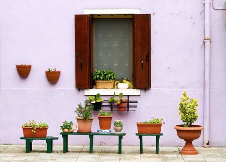 Lilac facade with decorative flowerpots outside の写真素材