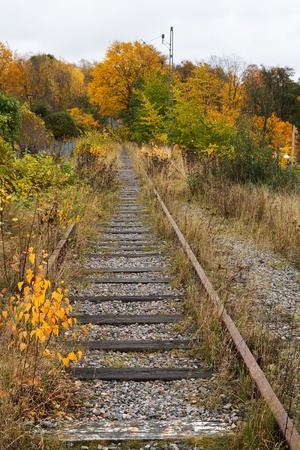 Old overgrown railroad tracks in autumn.の写真素材