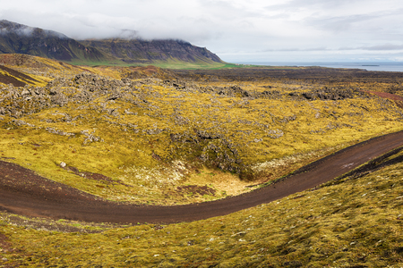 Dirt road through lava field landscape in Iceland.の写真素材
