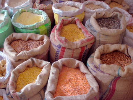 sacks of barley on the marketの写真素材