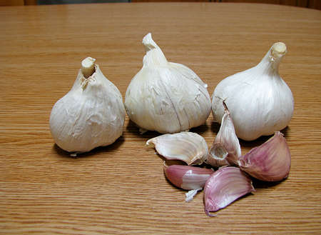 dry garlic heads on a tableの写真素材