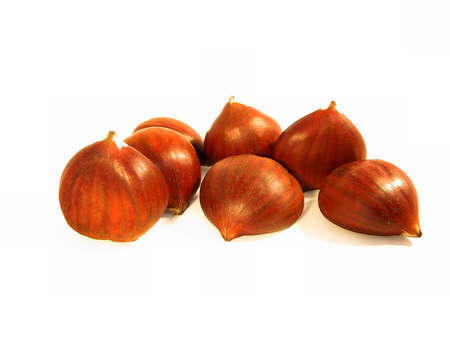 Group of chestnuts with white backgroundの写真素材