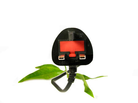 leaves grow on an electric plugの写真素材