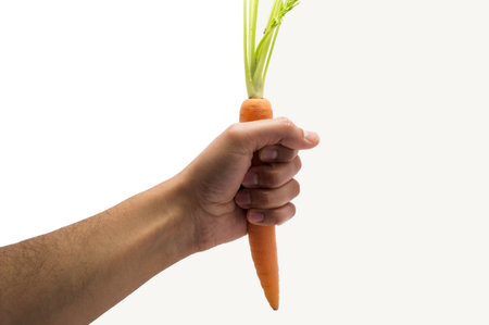 man holding a carrot on a white background