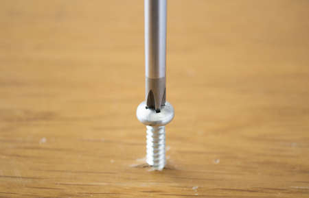 screwdriver in a wood constructionの写真素材
