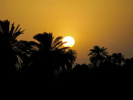The Nile sunset orangeの写真素材