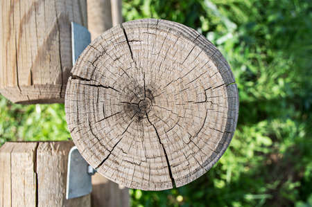 overhead view of a trunk of a wooden fenceの写真素材