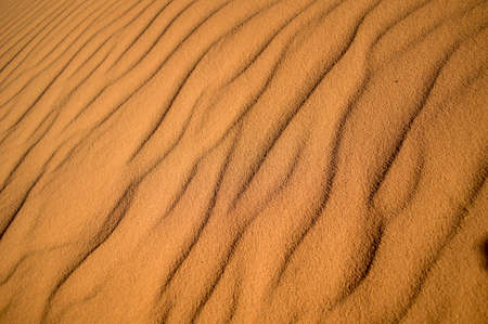 close up of a waves of sand makes by the wind of the desertの写真素材