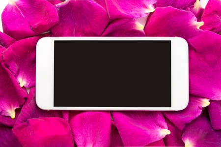 smartphone on a handful of roses petals in a spaの写真素材