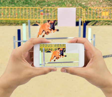 Man photographing his dog in an contest pets