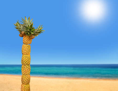 one creative palm tree with pineapples and kiwis on the beach with copy spaceの写真素材