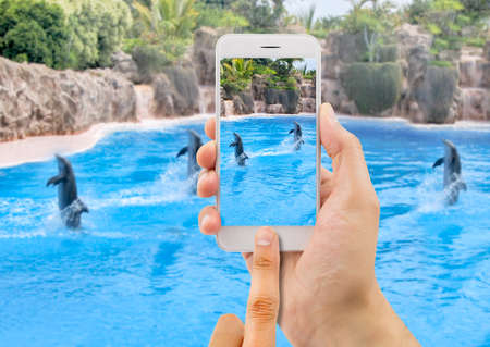 tourist taking a picture of a group of dolphins jumping in the pool at a water park with a white phone on the oudoorの写真素材