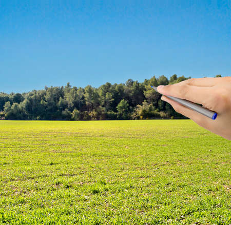 hand is writing ideas on a wipeboard with a meadow background. All screen content is designed by me and not copyrighted by others and created with wacom tablet and psの写真素材