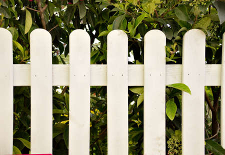 close up a wooden fence whiteの写真素材