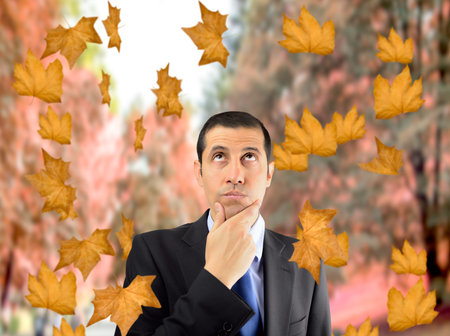 businessman deciding their future while looking dried leaves falling tree at a city park in autumnの写真素材