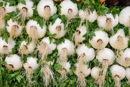 Pile of white onions at farmers market