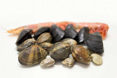 group of seafood clams mussels and prawn ready to prepare paellaの写真素材