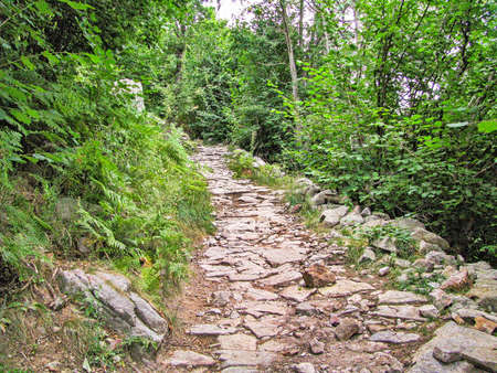 Shot of a country road in Pyrenees Spainの写真素材