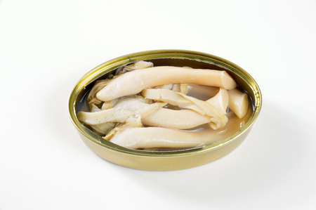 High angle shot of delicious can of preserved with clams on white backgroundの写真素材