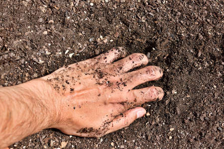 Cropped shot of a farmer holding soilの写真素材