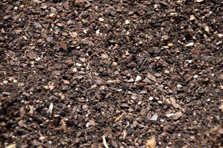Cropped shot of a soil waiting to be cultivatedの写真素材