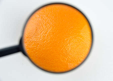 reviewing an orange with a magnifying glassの写真素材