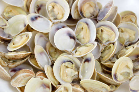 close up a bowl with clamsの写真素材